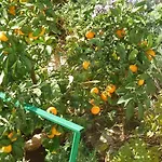 Appartement Oaza Marinkovic Dramalj