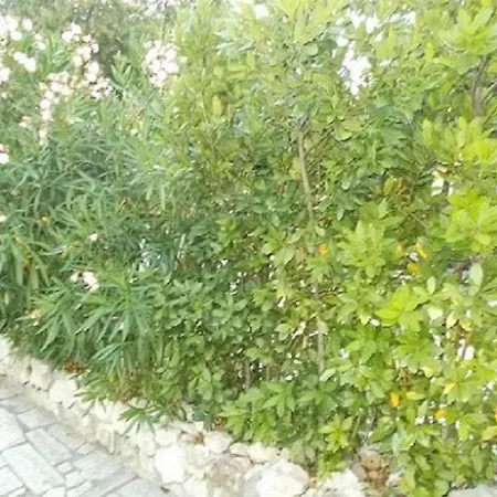 Apartment Oaza Marinkovic