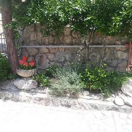 Apartment Oaza Marinkovic *